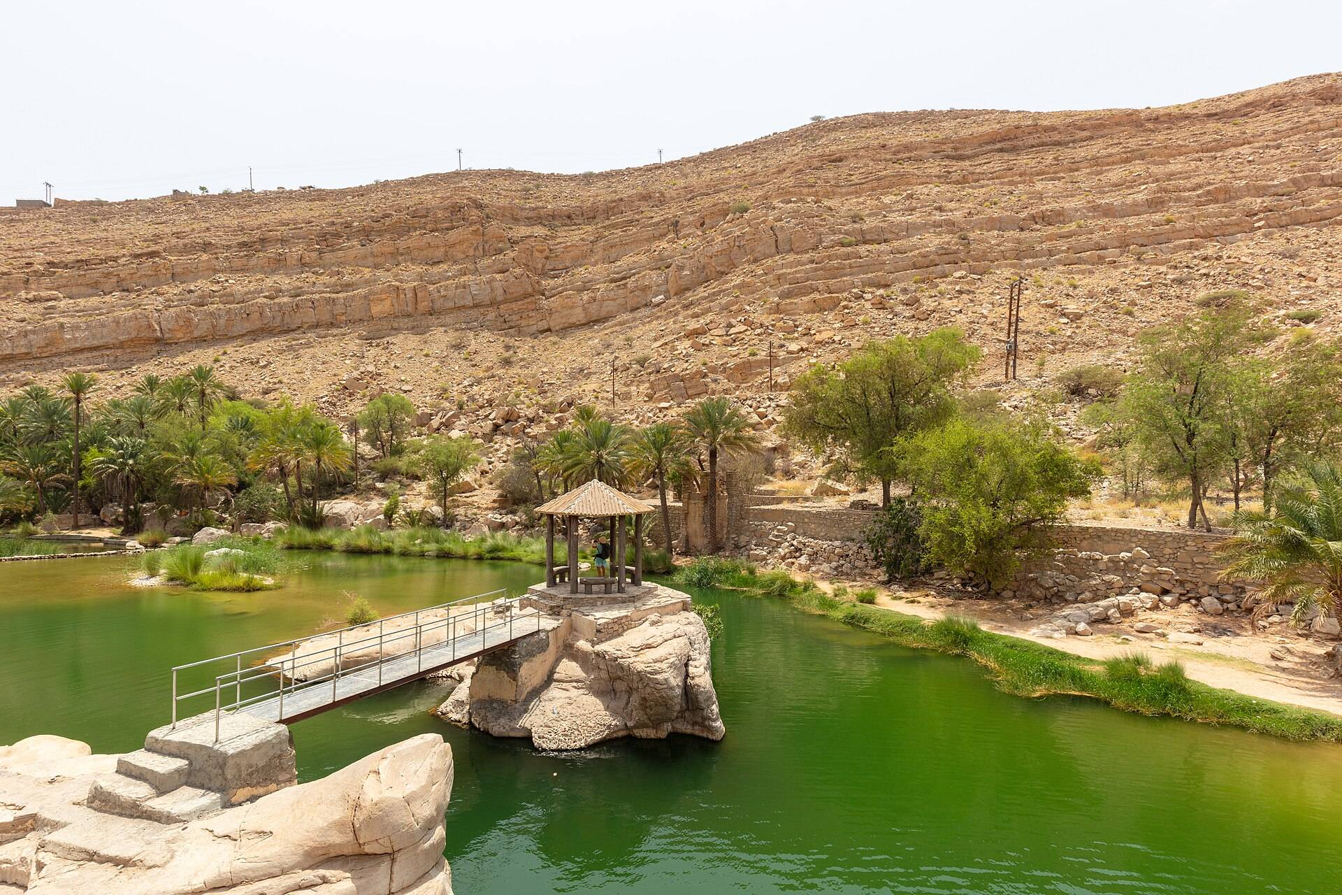 صورة الجولة