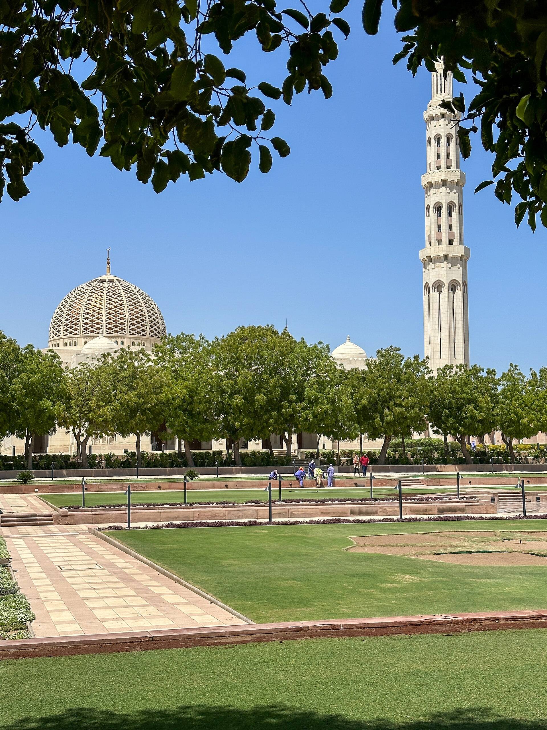 صورة مسجد السلطان قابوس الكبير (مسقط)