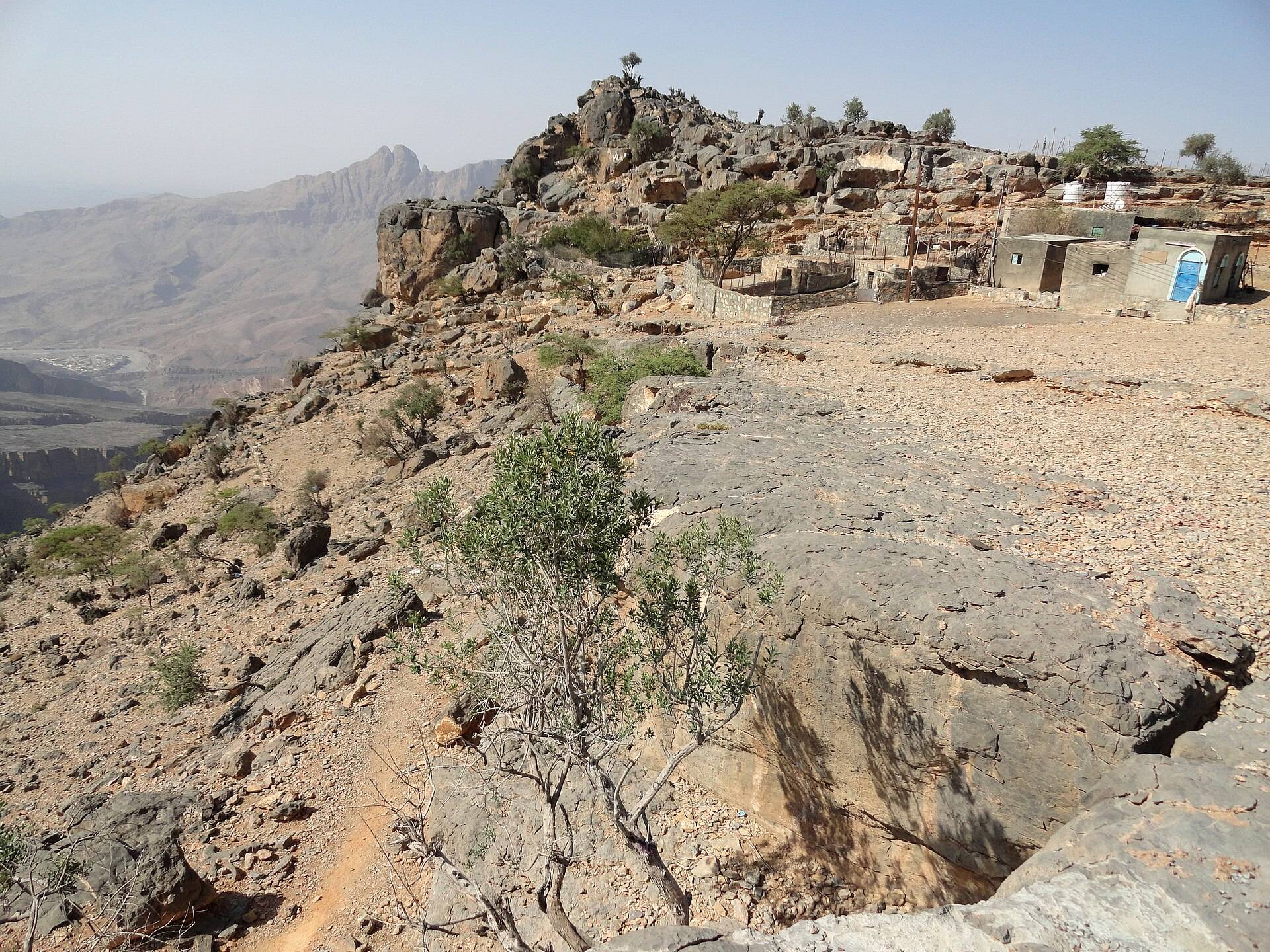 صورة الجولة