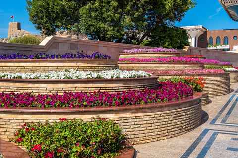 Attraction image