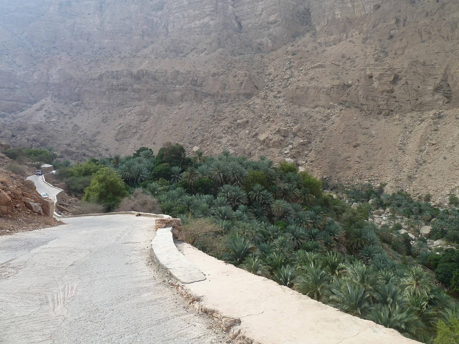 صورة الجولة