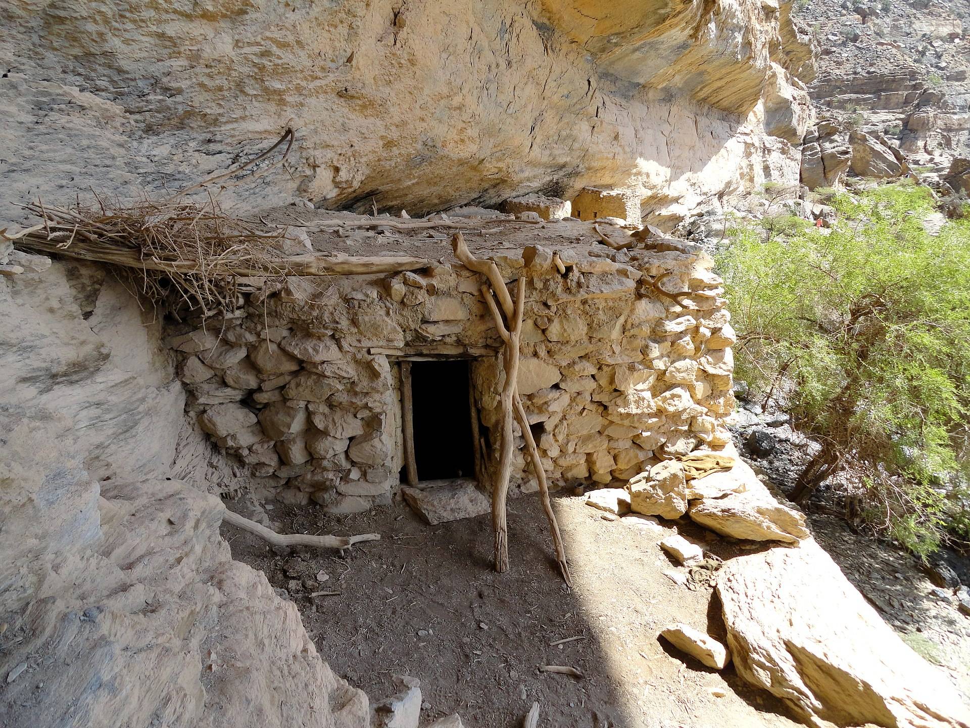 صورة الجولة