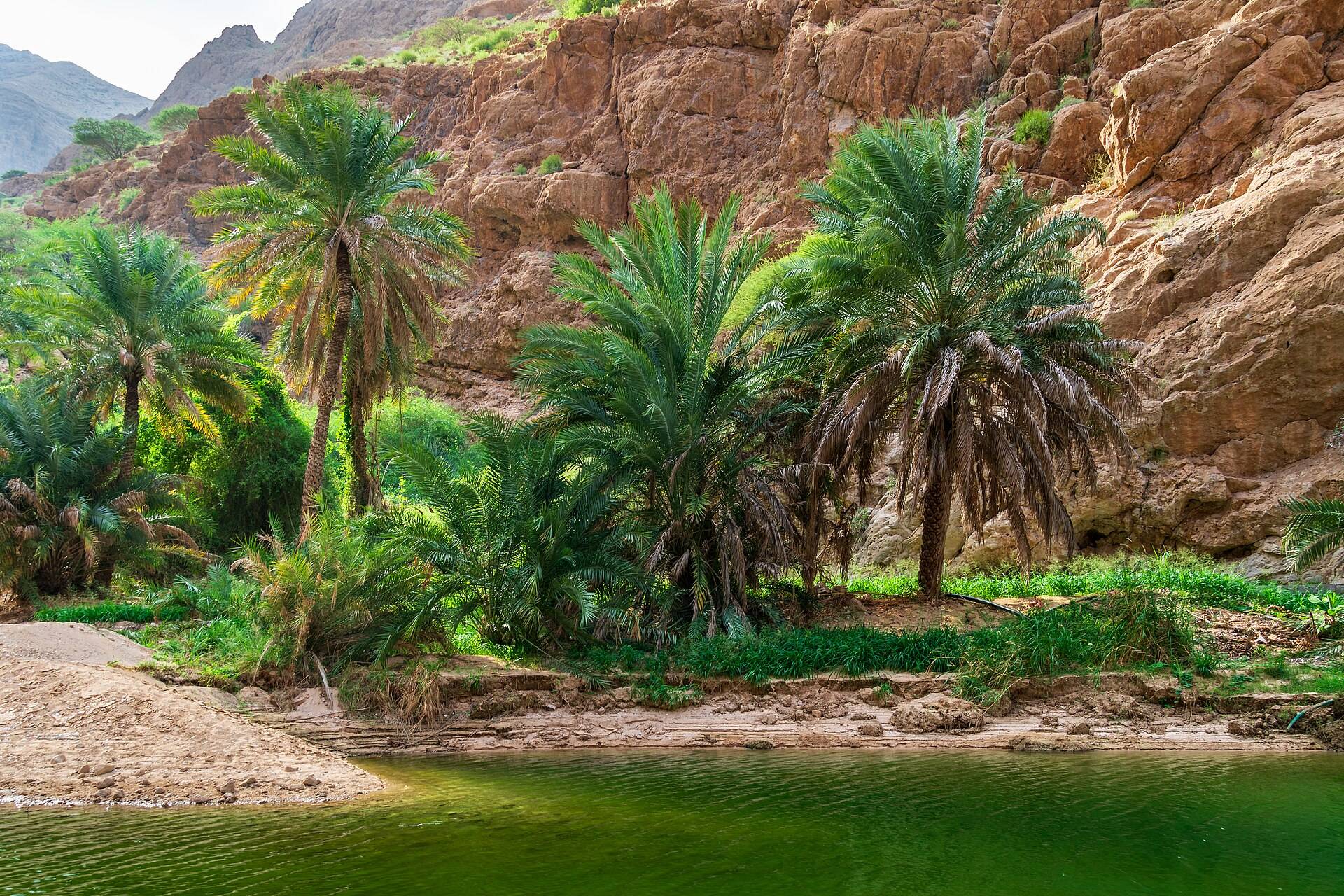 صورة وادي شاب