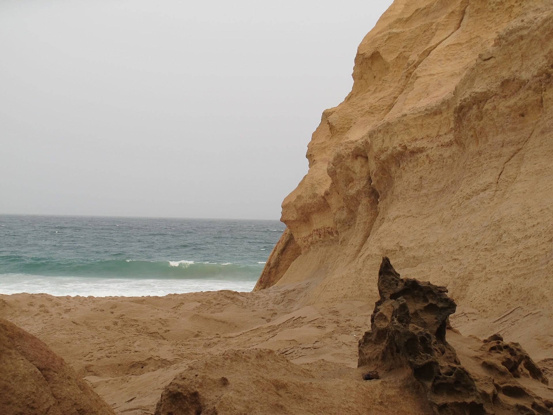 صورة محمية السلاحف برأس الجنز