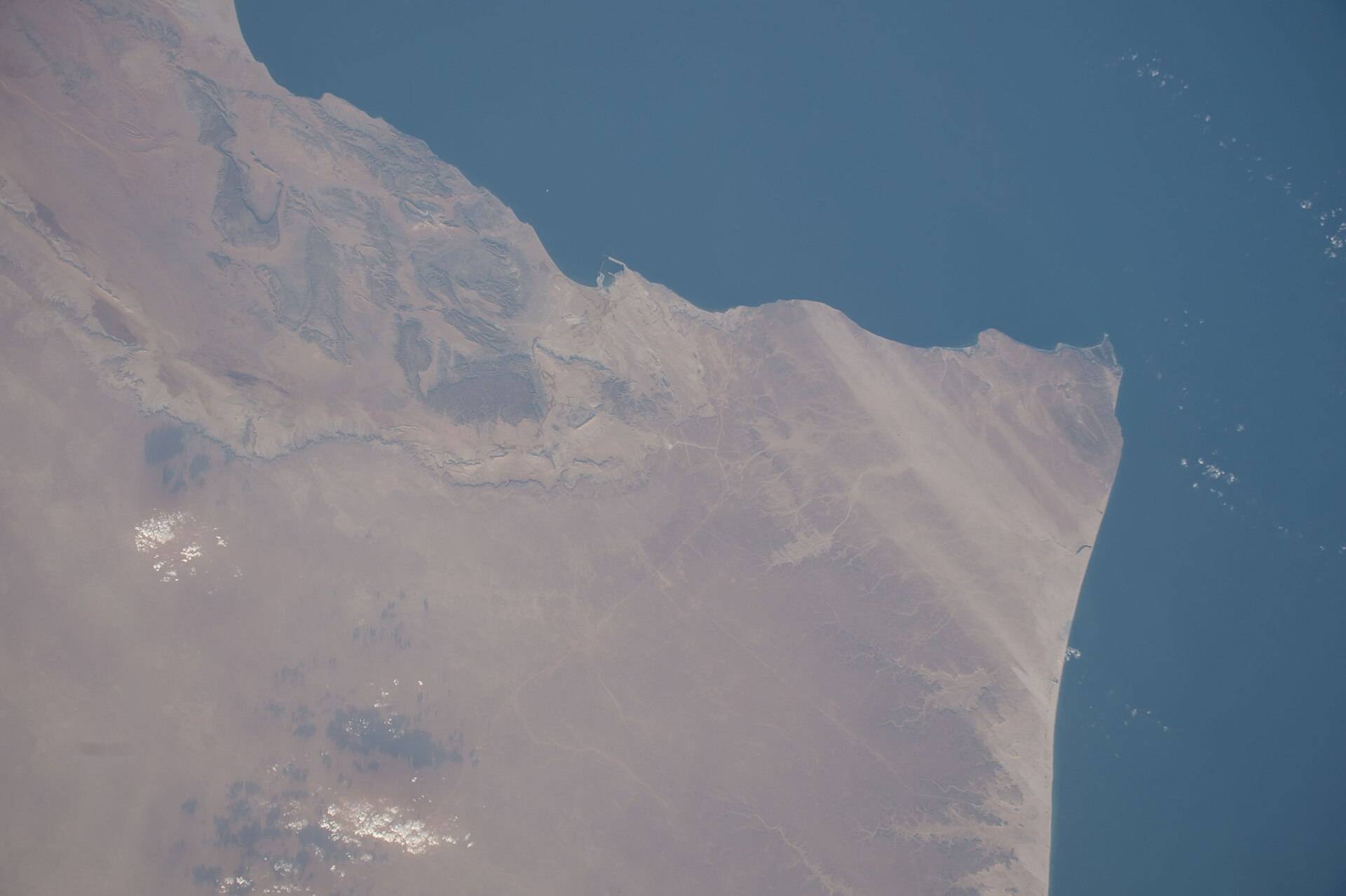 صورة رأس مدركة
