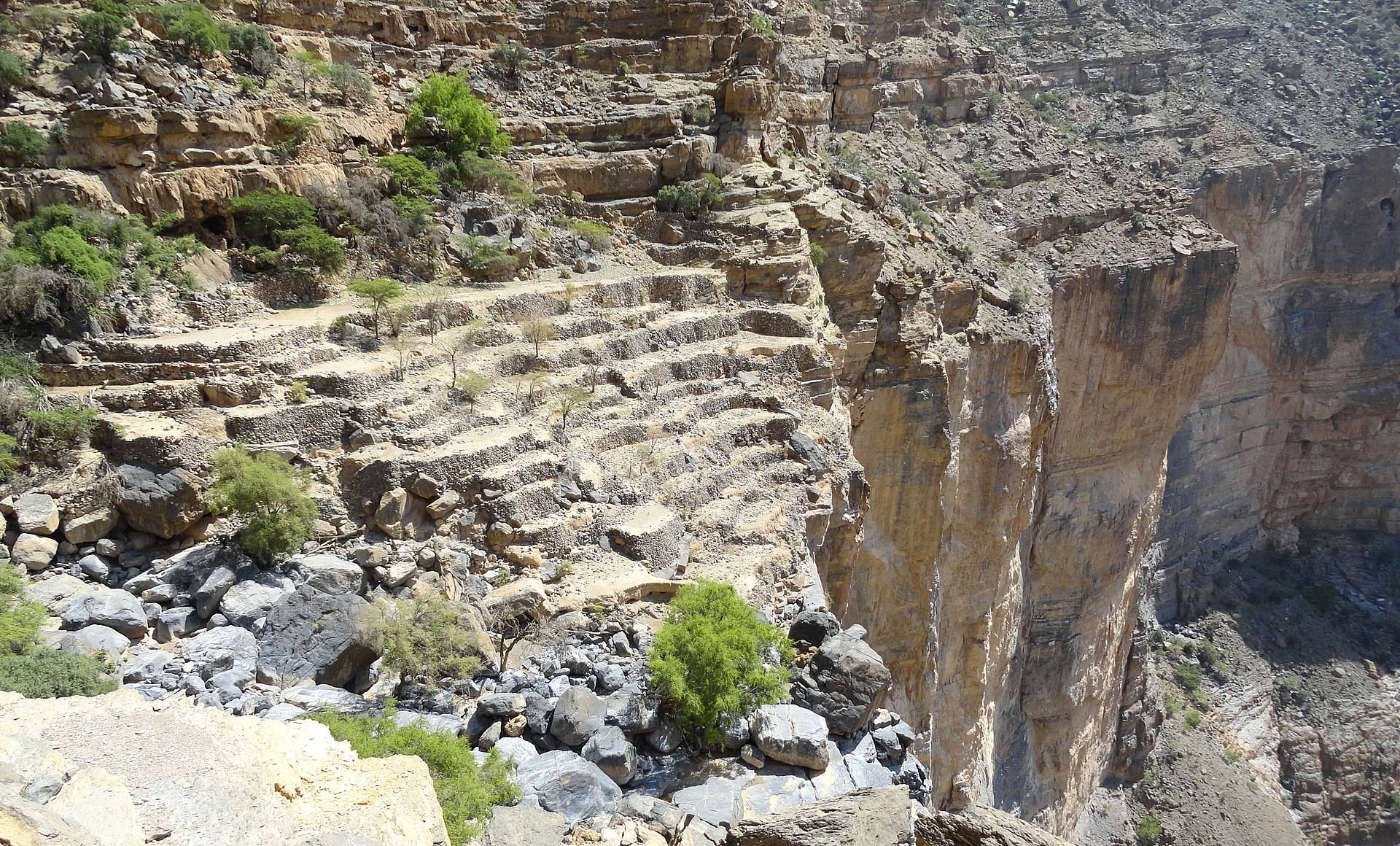 صورة الجولة