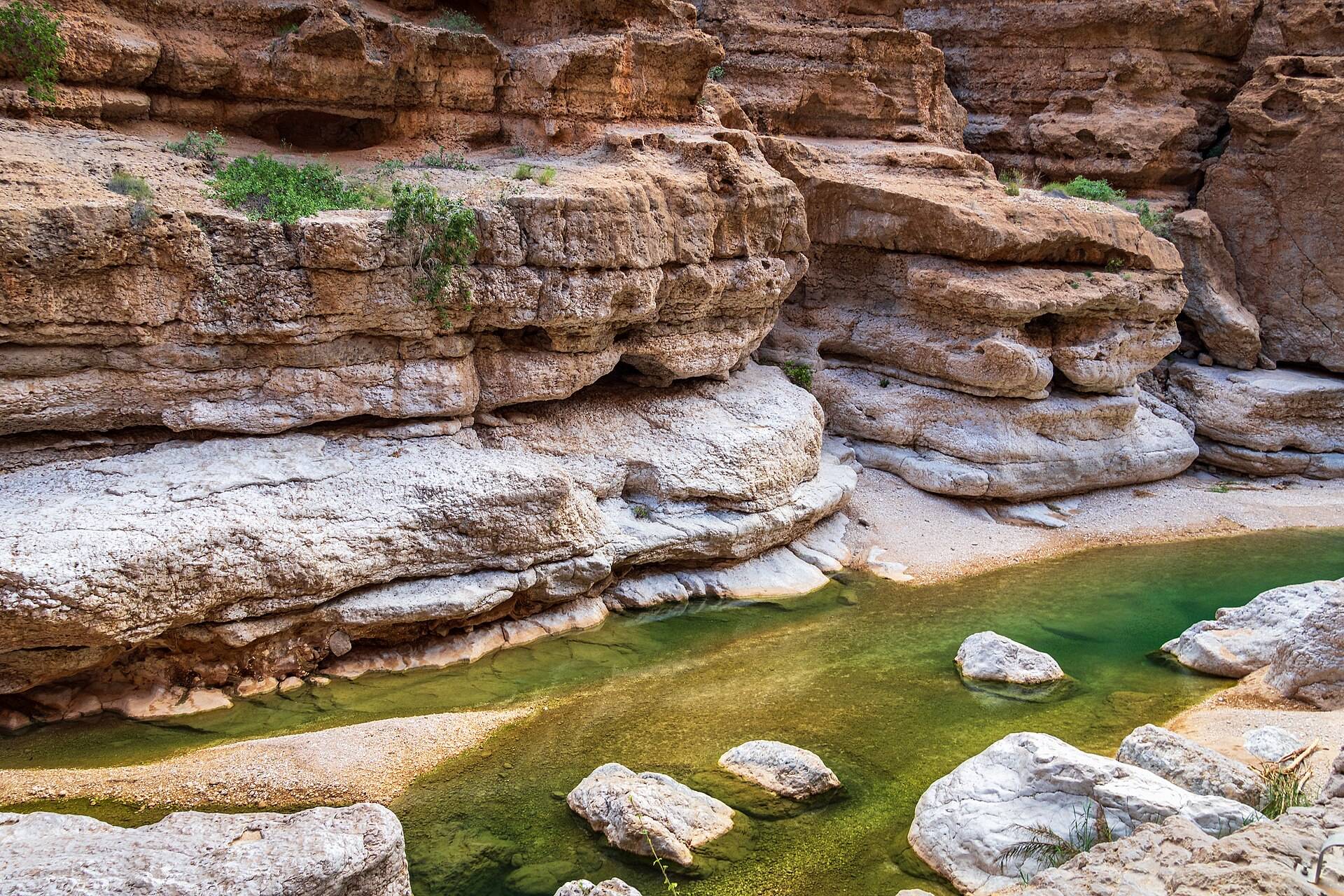 صورة الجولة