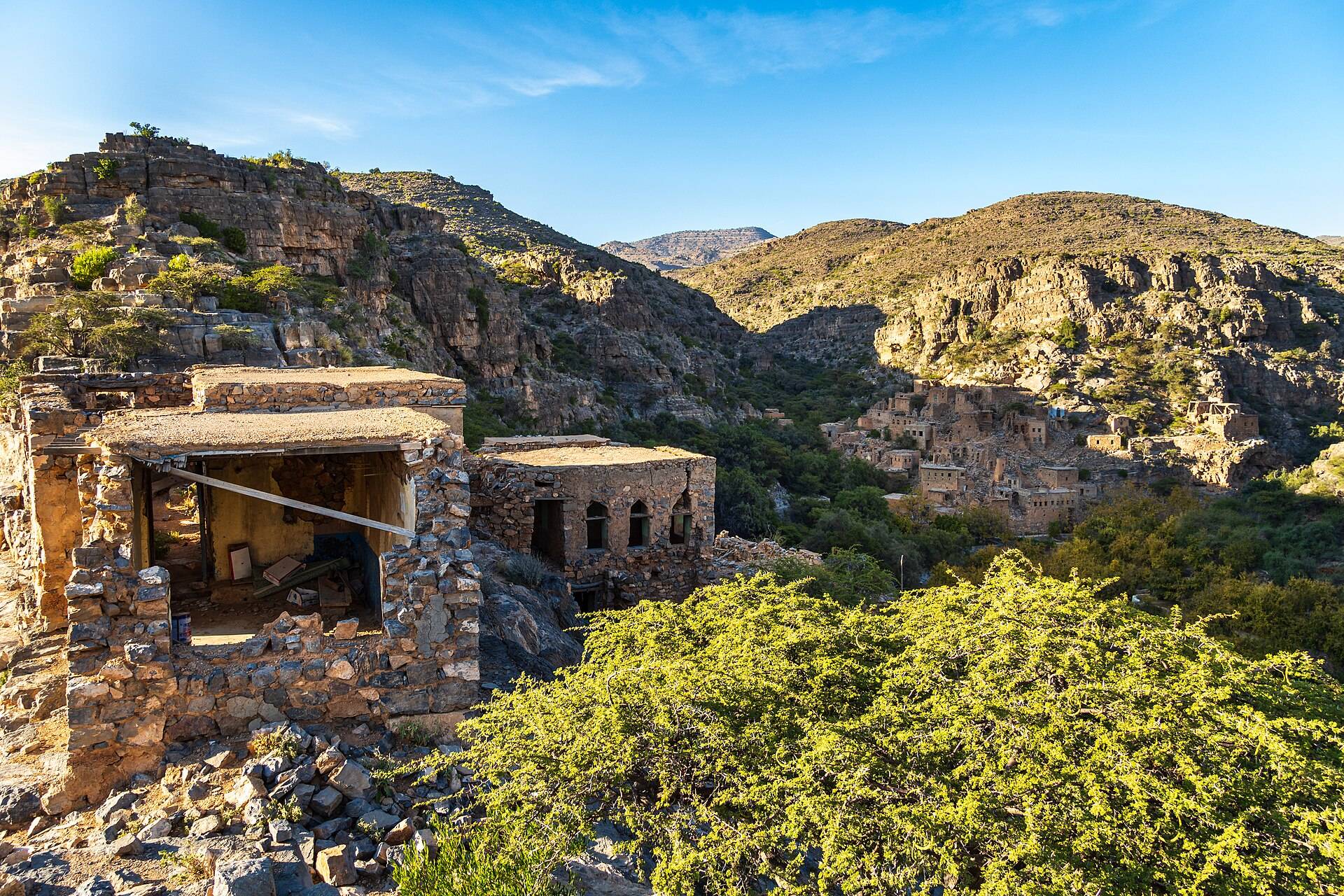 صورة الجولة