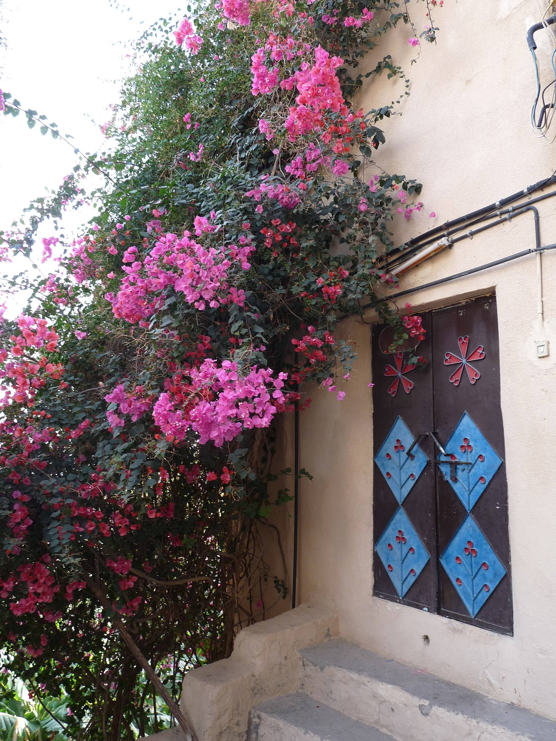 صورة مسفاة الأبريين