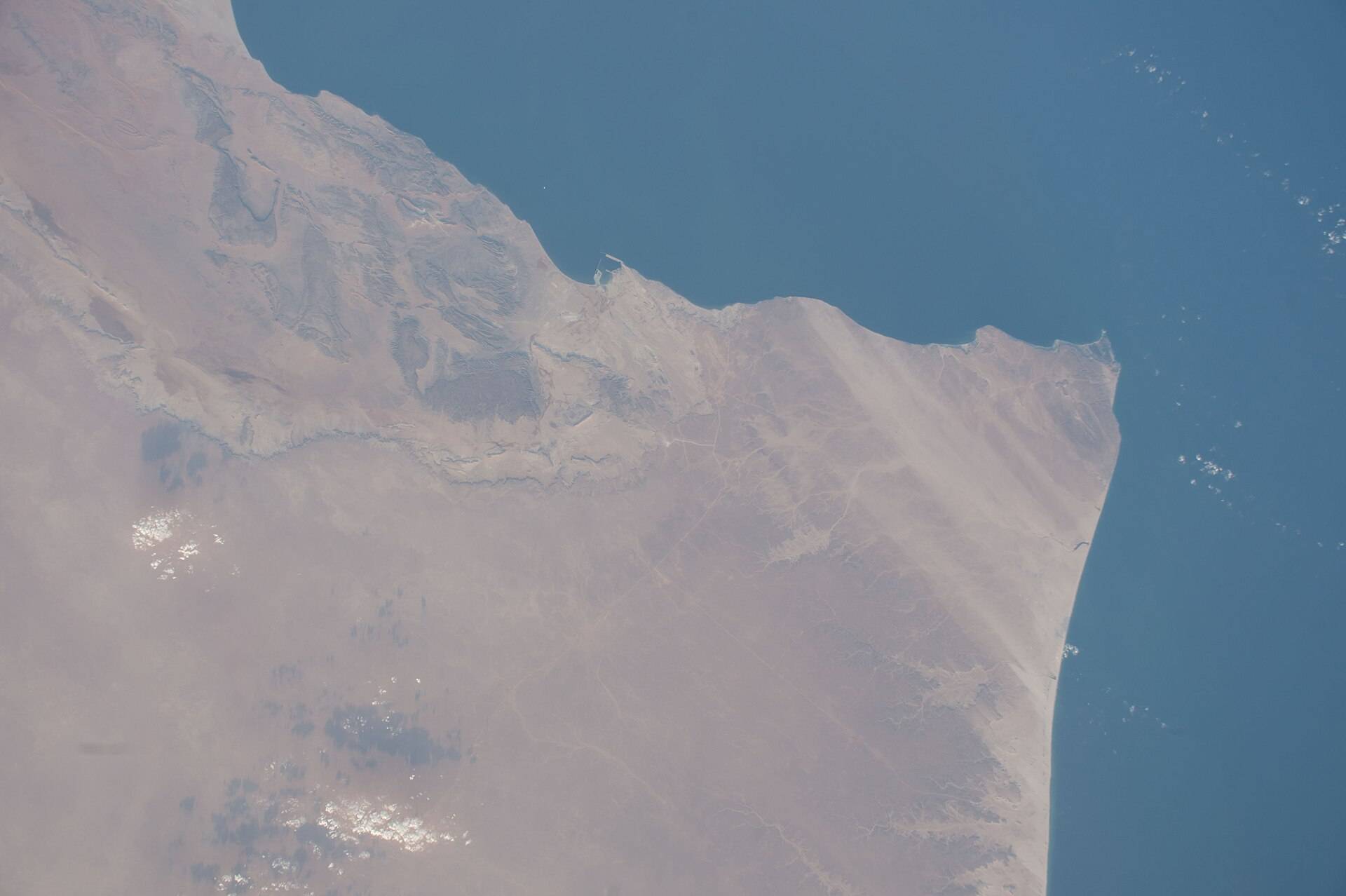 صورة رأس مدركة