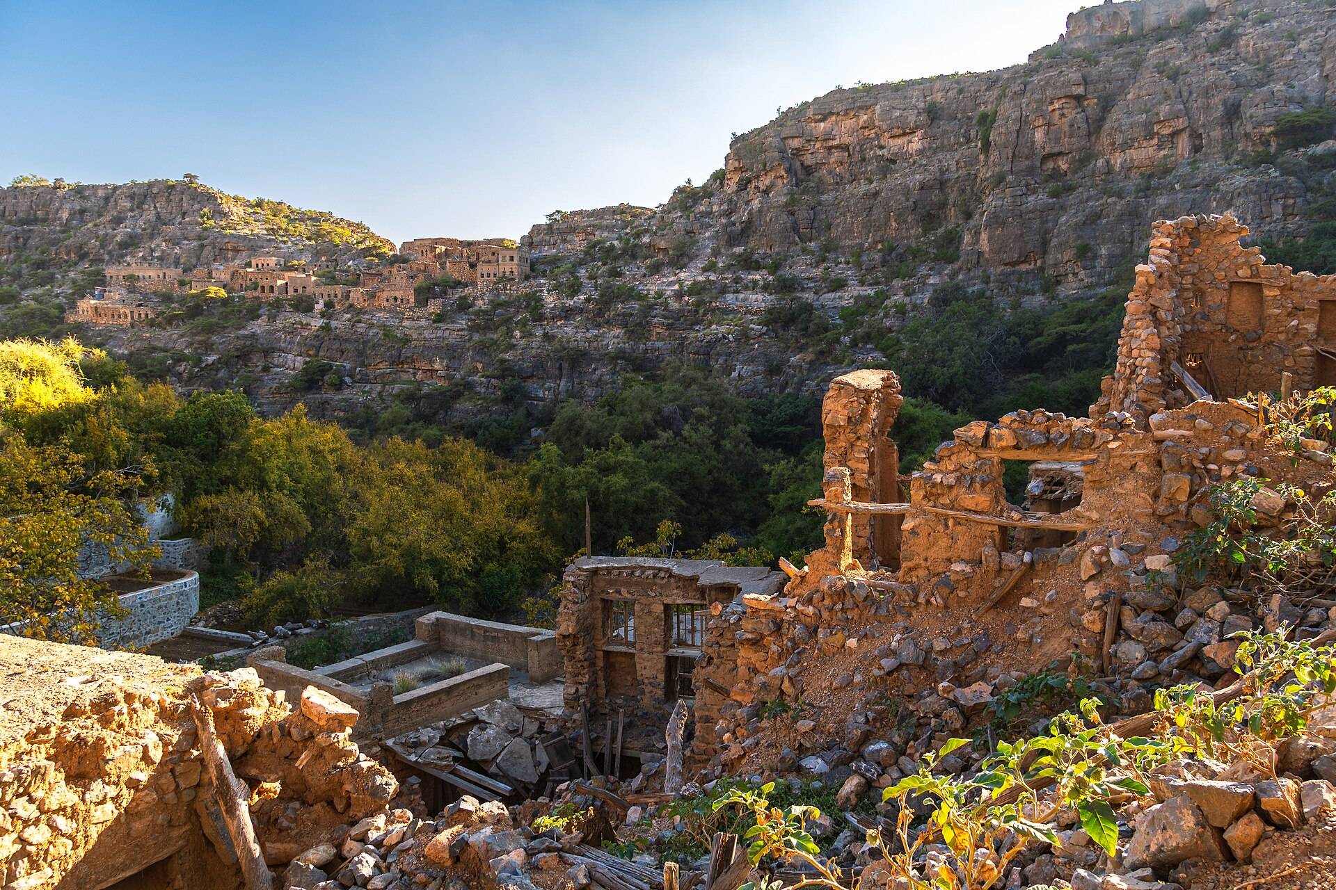 صورة الجولة