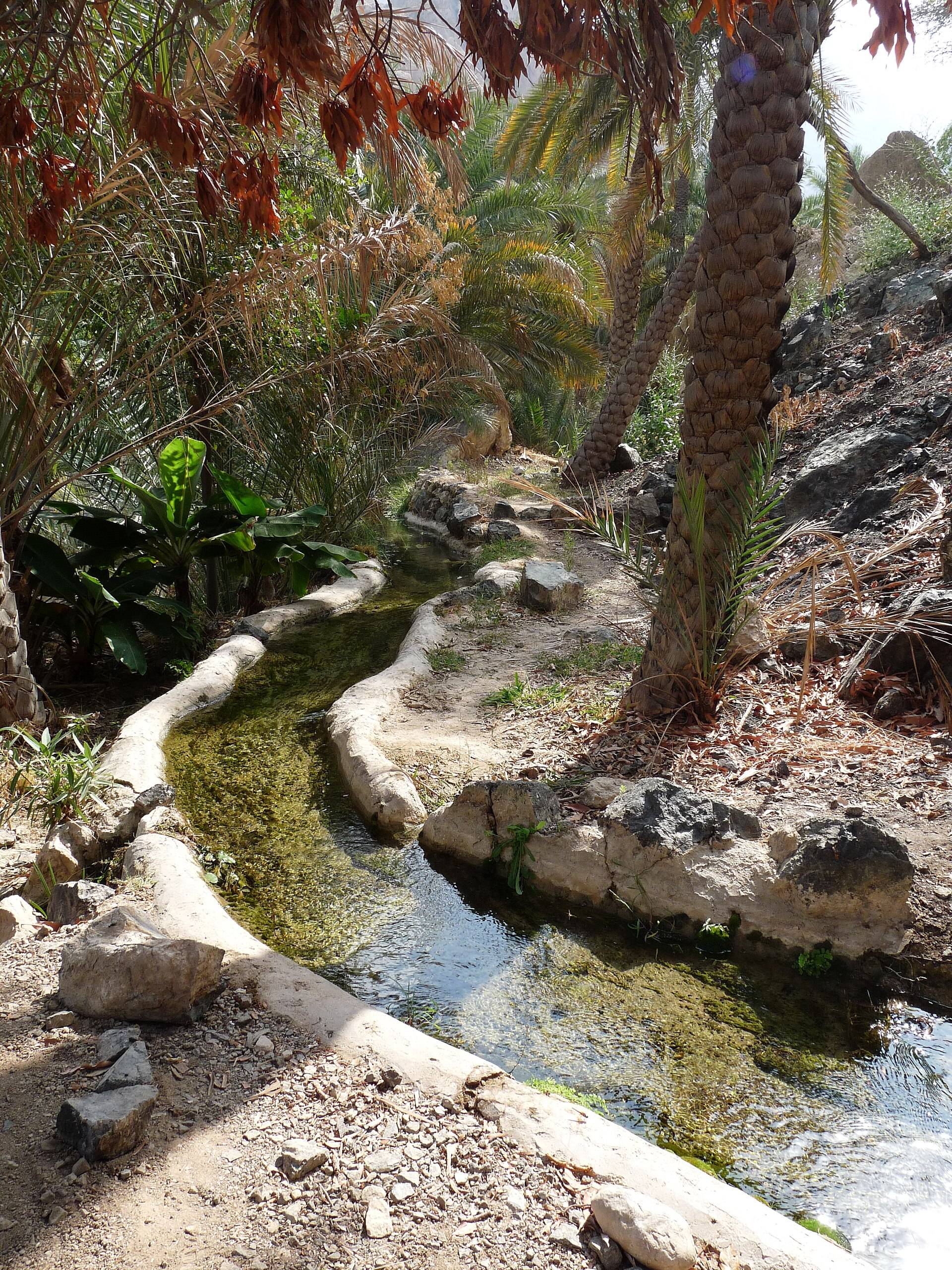 صورة الجولة
