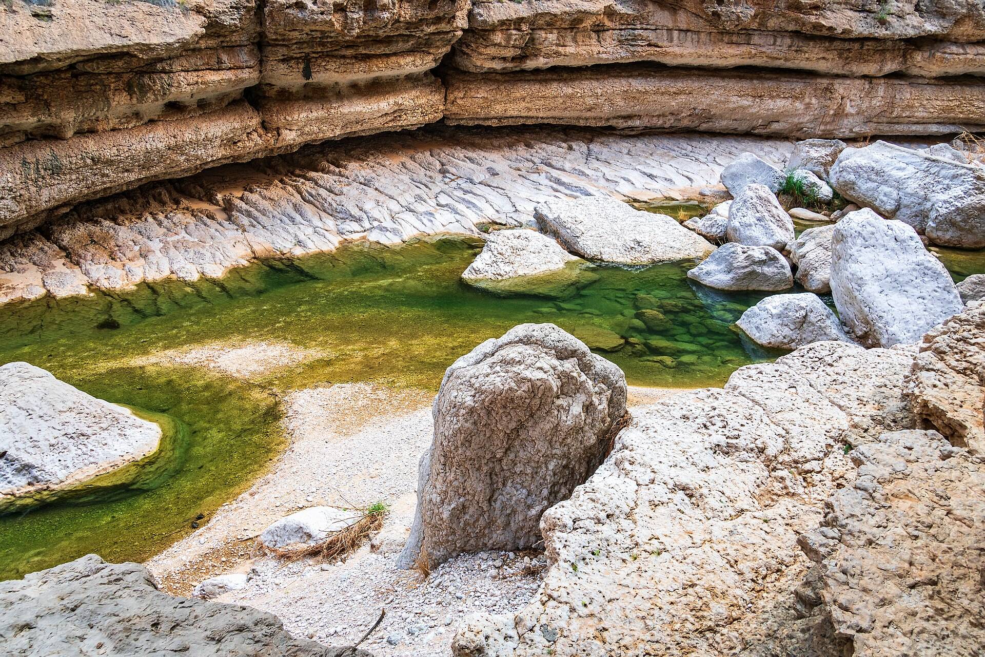صورة الجولة