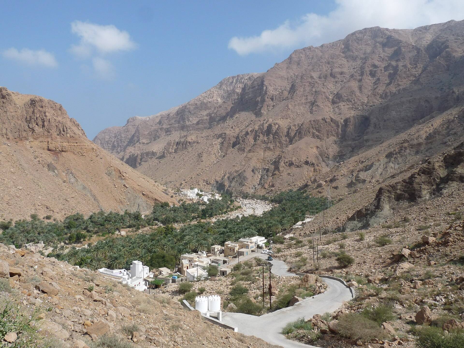 صورة الجولة