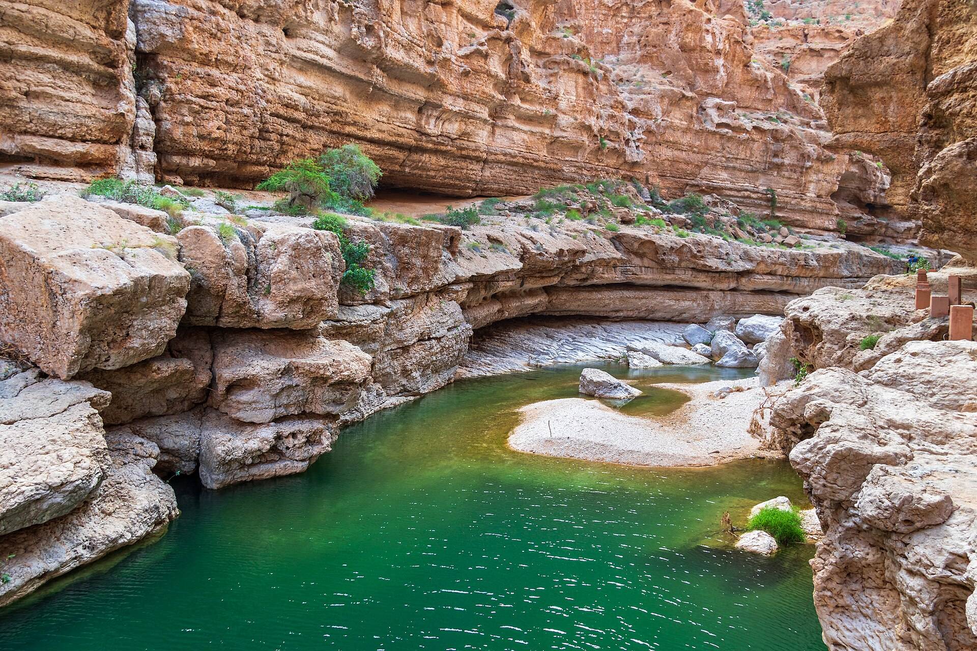 صورة الجولة