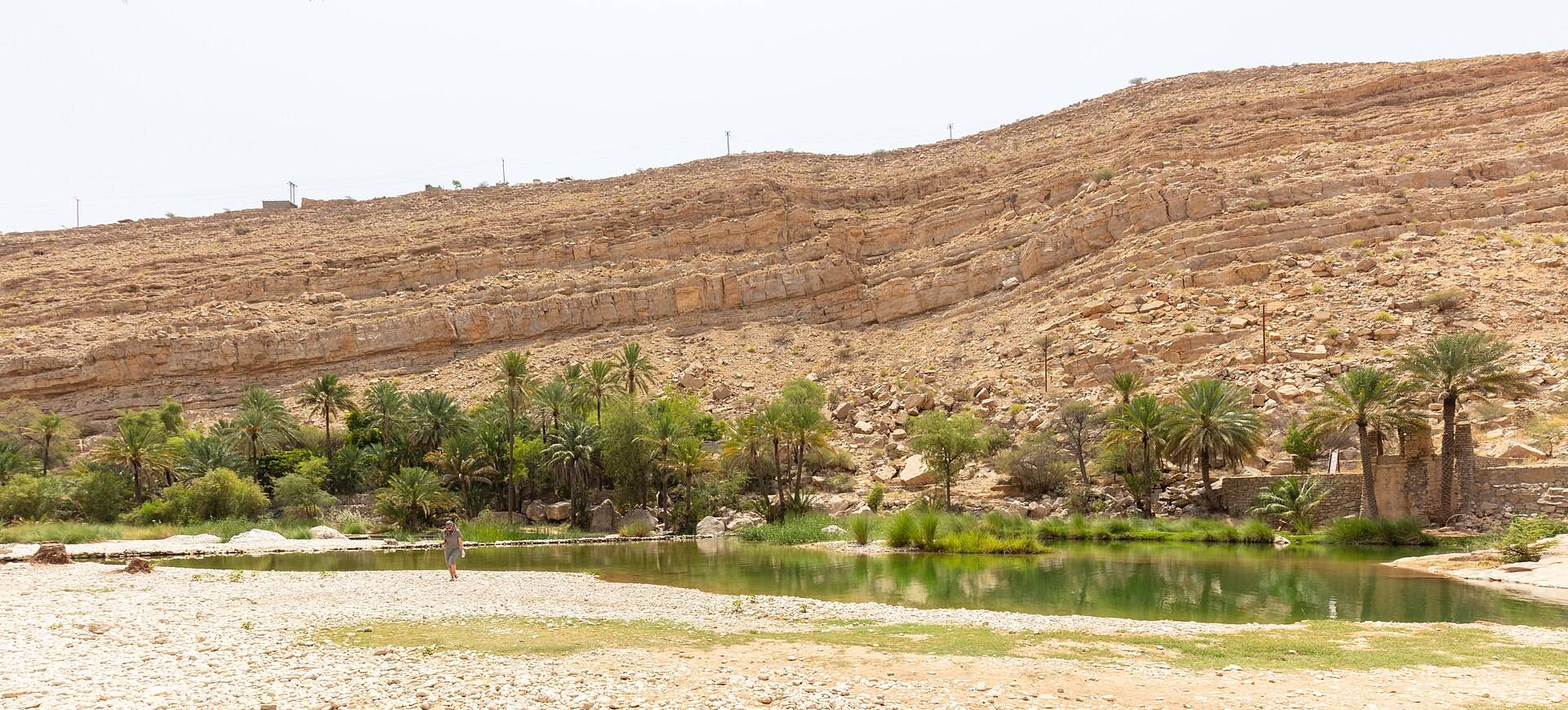صورة الجولة