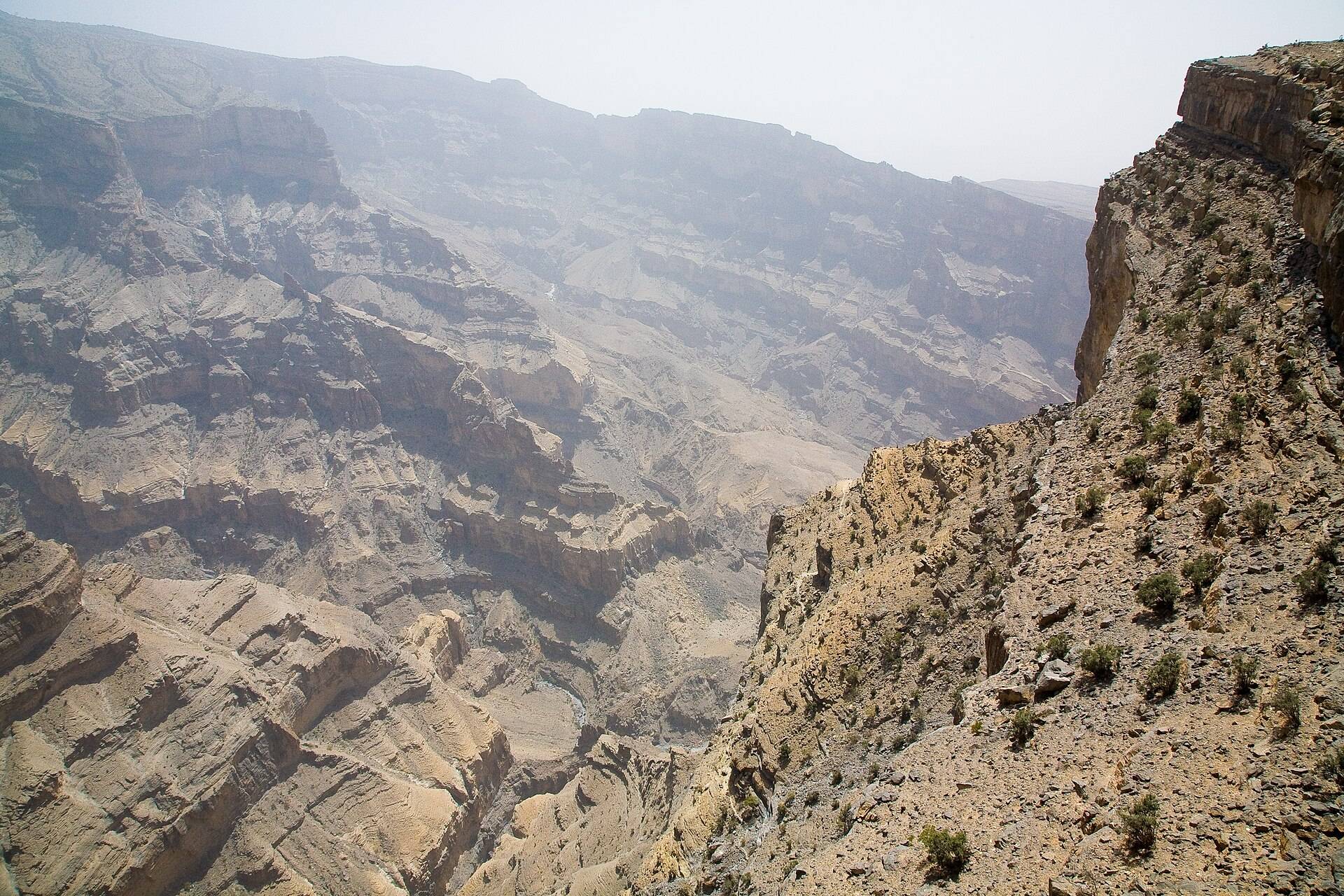 صورة الجولة