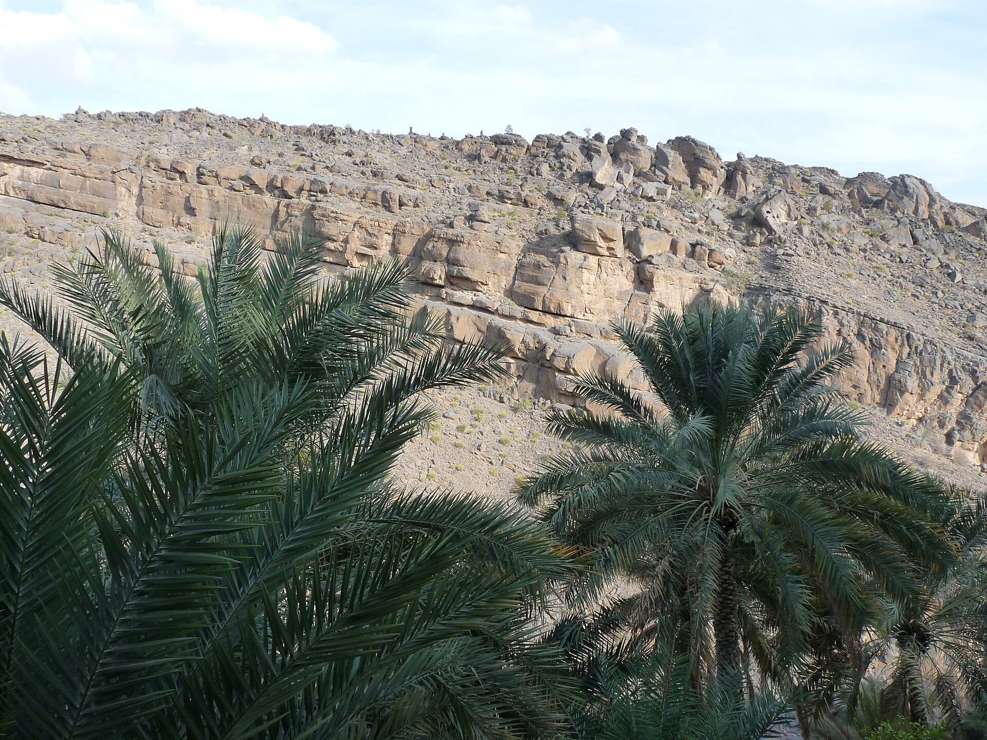 صورة الجولة