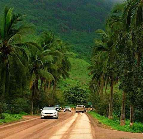 Season image
