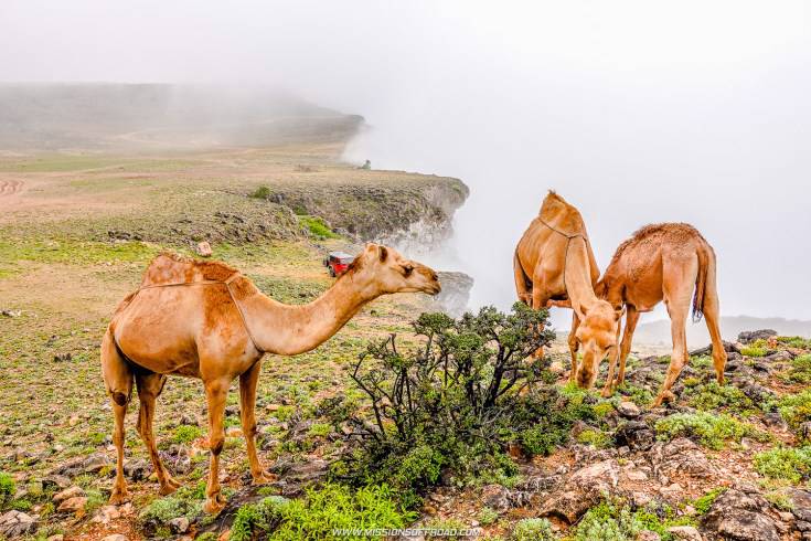 صورة نقطة مشاهدة جبل سمحان