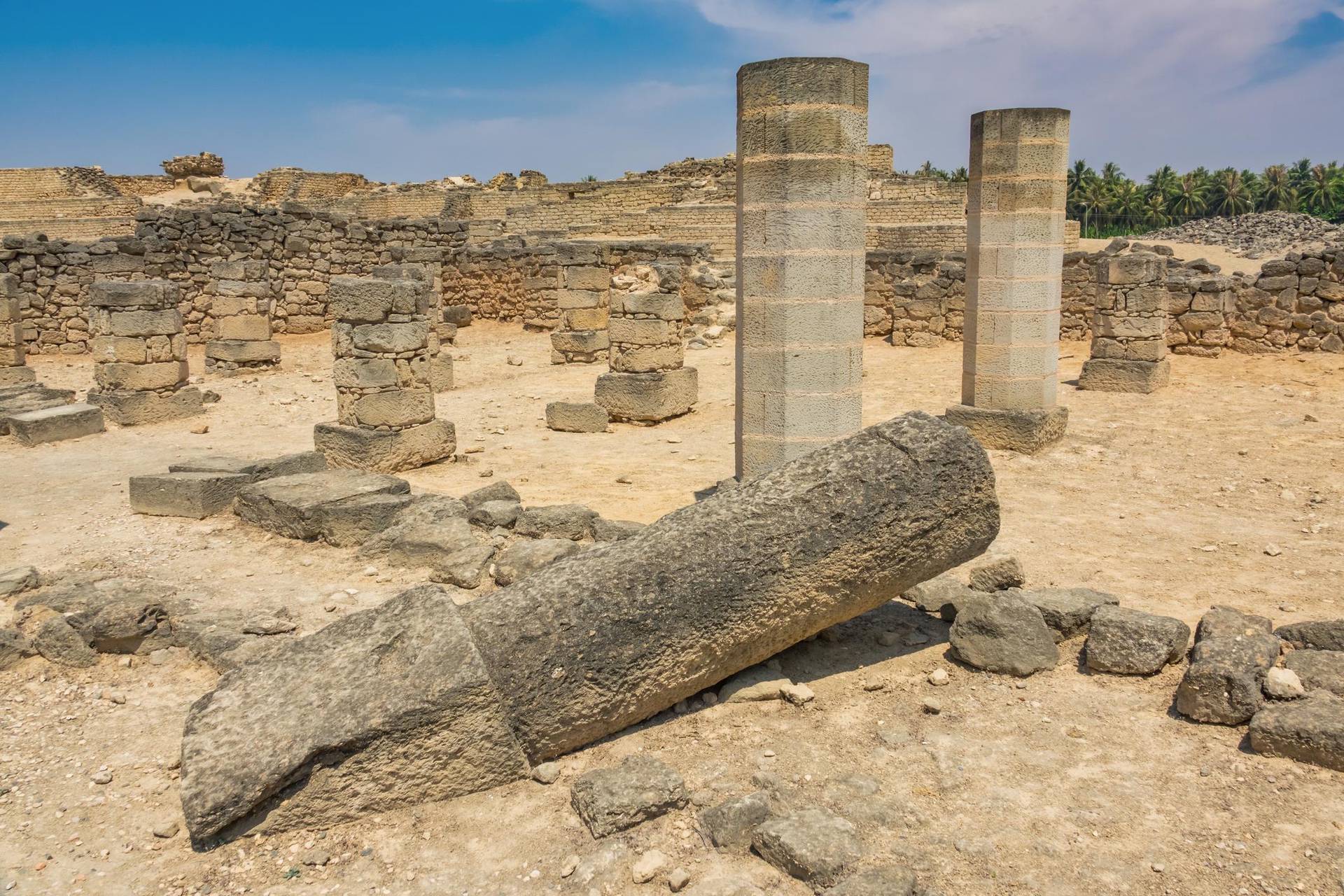 صورة حديقة البليد الأثرية