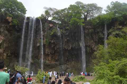 Region image