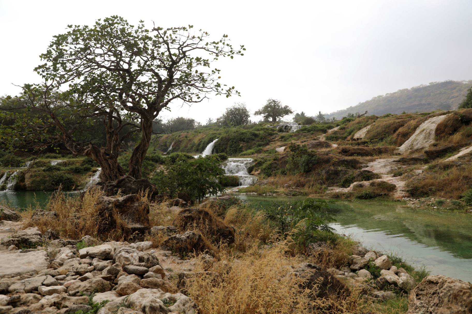 صورة وادي دربات