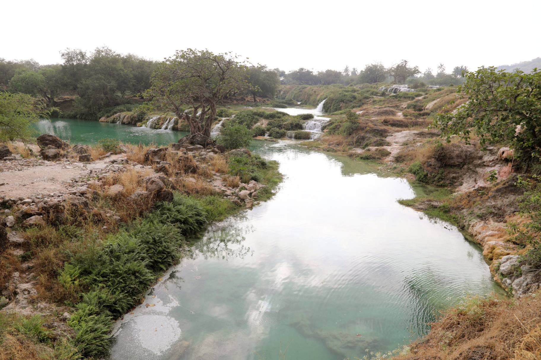 صورة وادي دربات