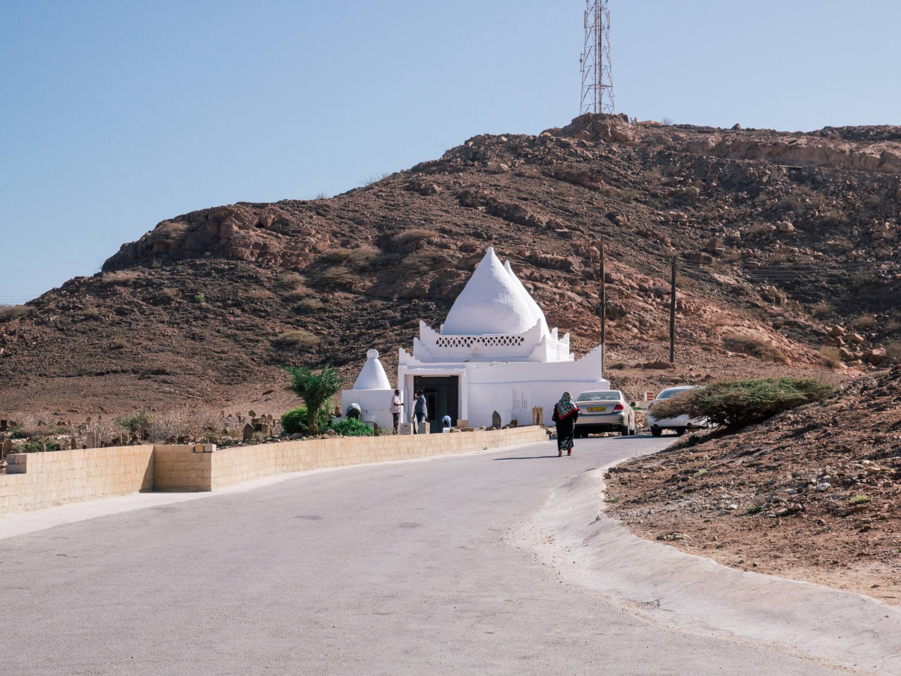 صورة مرباط