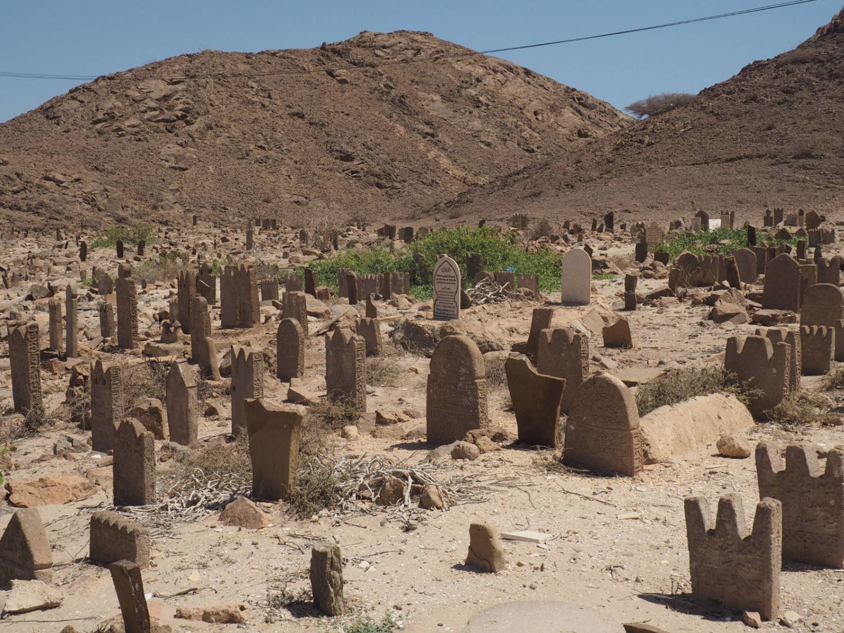 صورة مرباط
