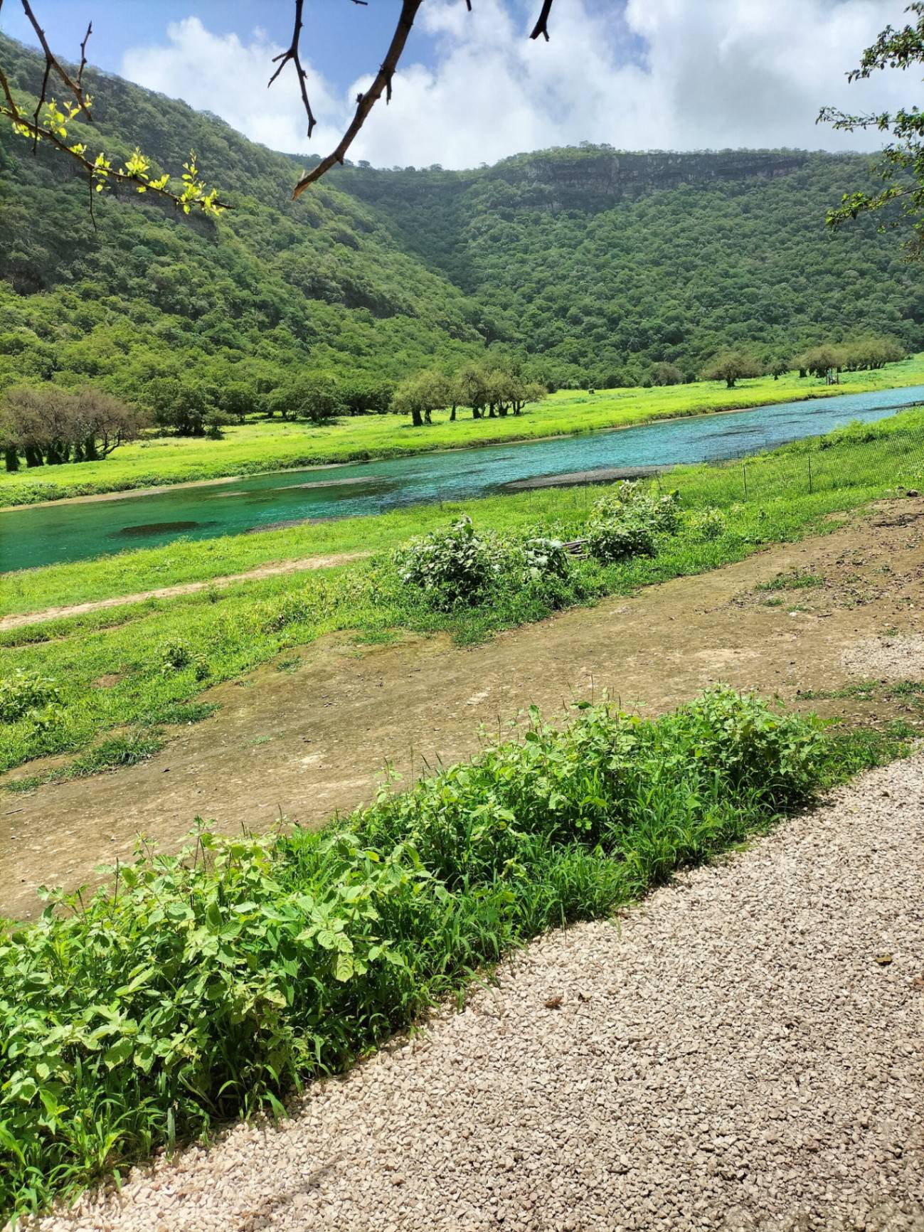 صورة عين رزات