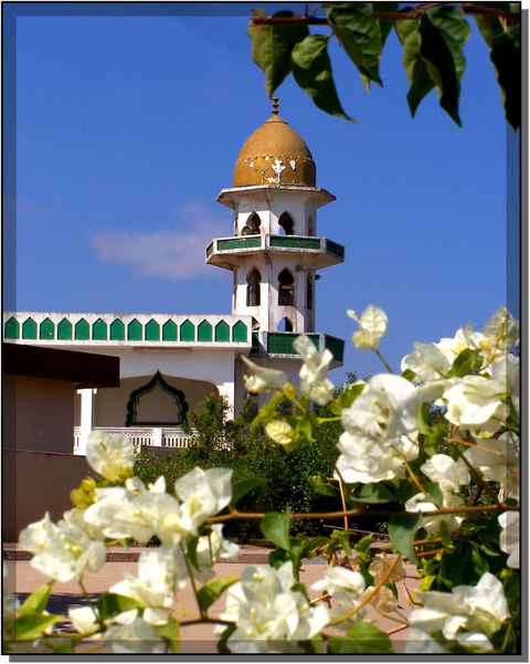 Attraction image